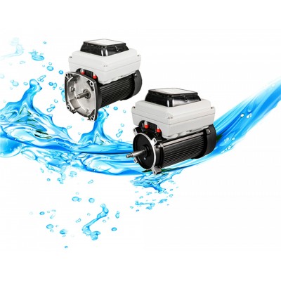 Vsm Premium Efficiency Variable Speed pool Motor